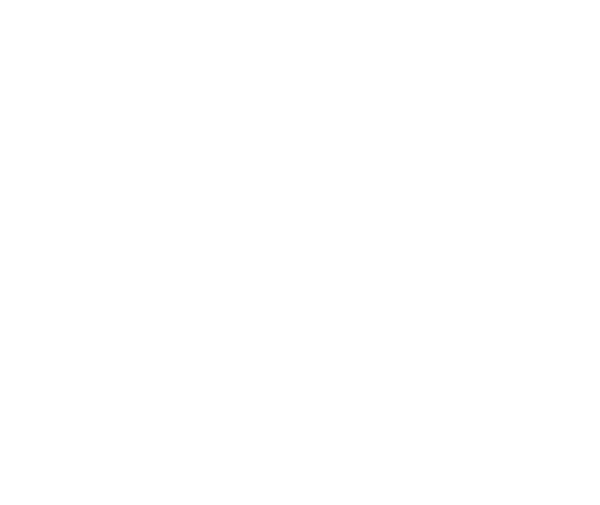 Robin College Counseling
