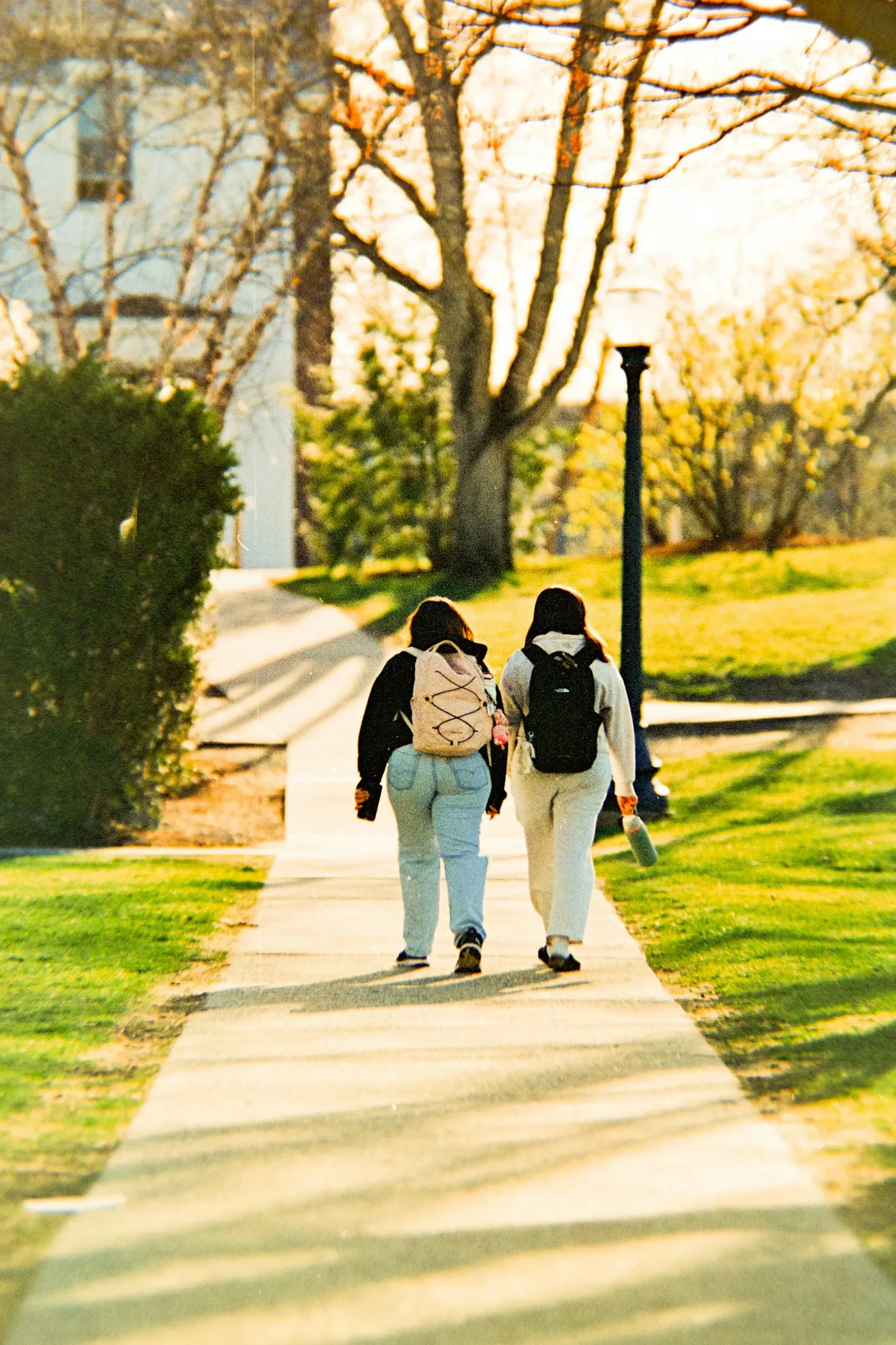 Two people walking along a park path